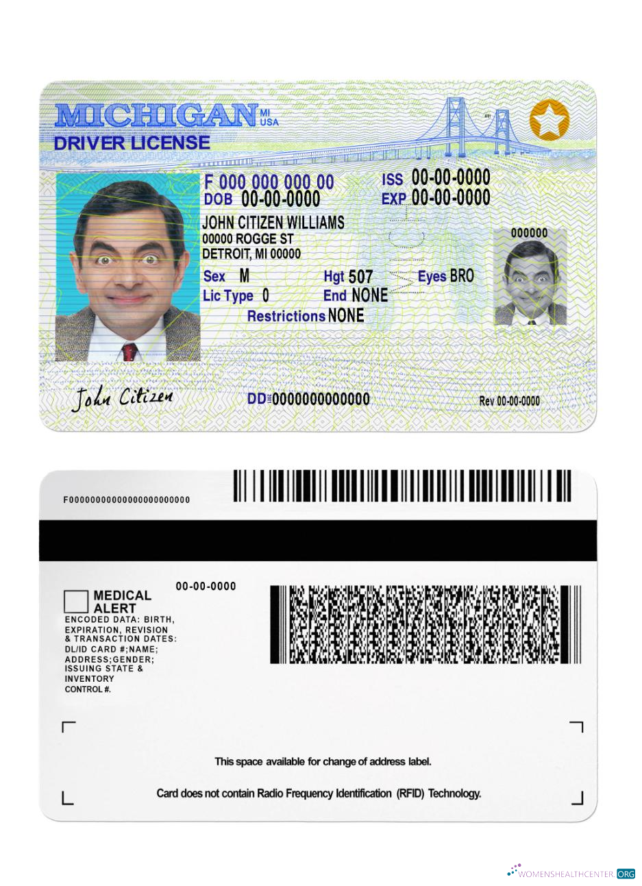 download USA Michigan DL 2021 present